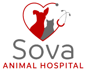 Sova Animal Hospital