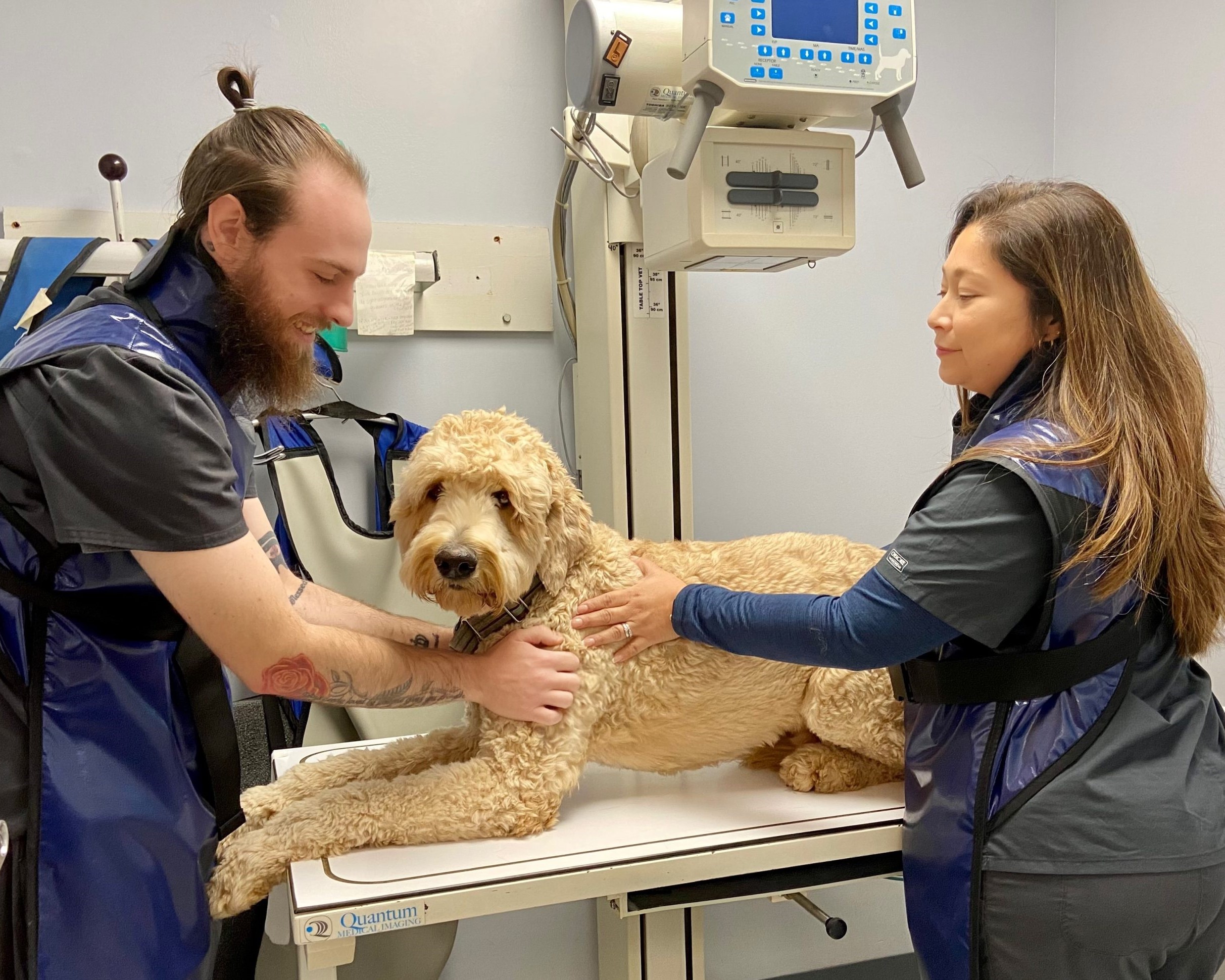 Two vet staff taking x-ray of a dog