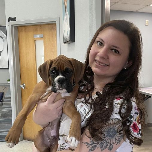 A lady holding a small dog