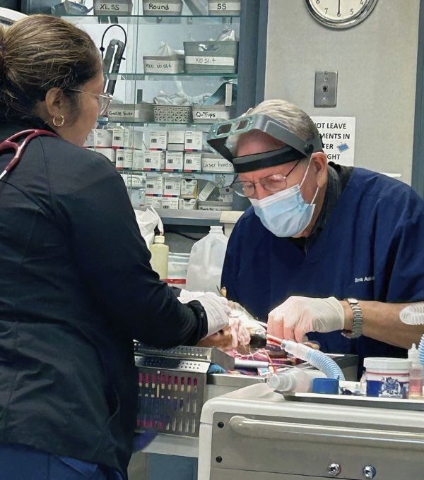 Vet and staff performing surgery of a pet