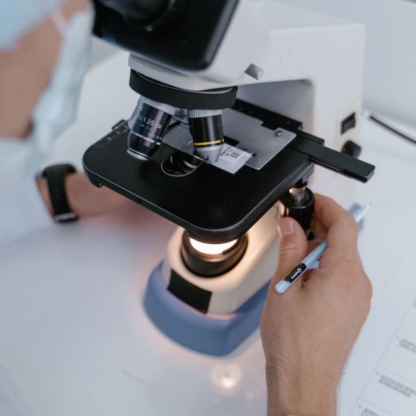 A vet examining sample through a microscope