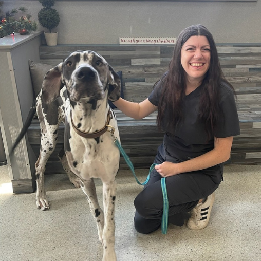 Vet staff kneeling down beside a dog