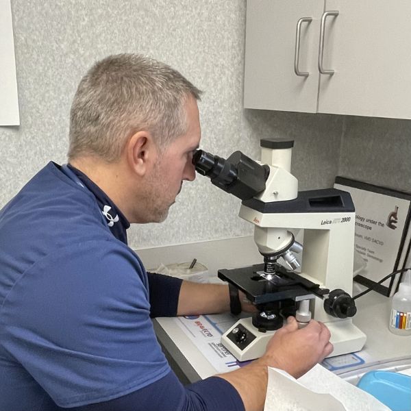 A vet staff examining sample through a microscope