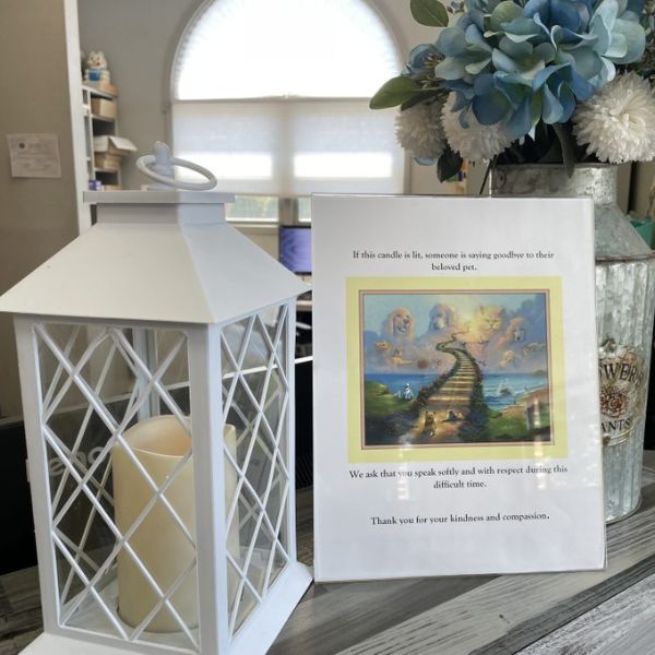 Pet urn and photo frame kept on a table