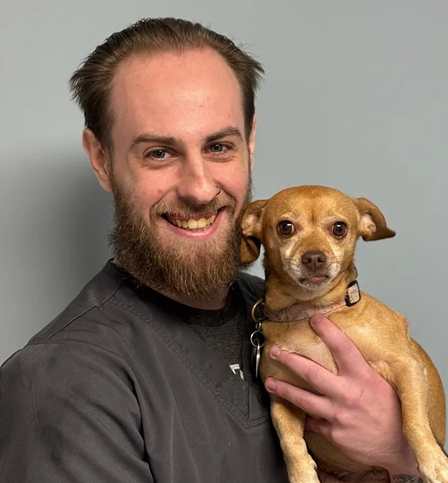 Veterinary technician, Marco, holding a small, tan Chihuahua in his arms.