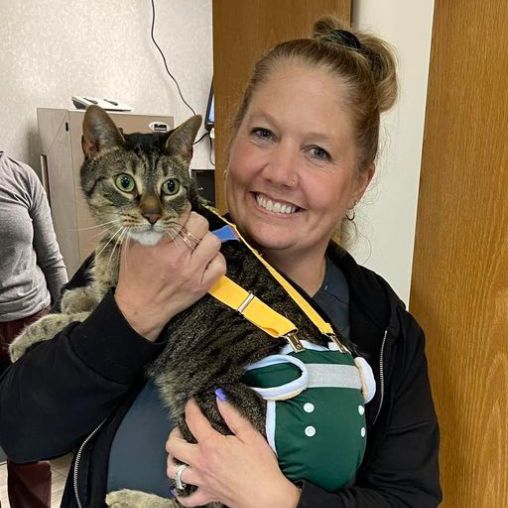 Woman holding a tabby cat.